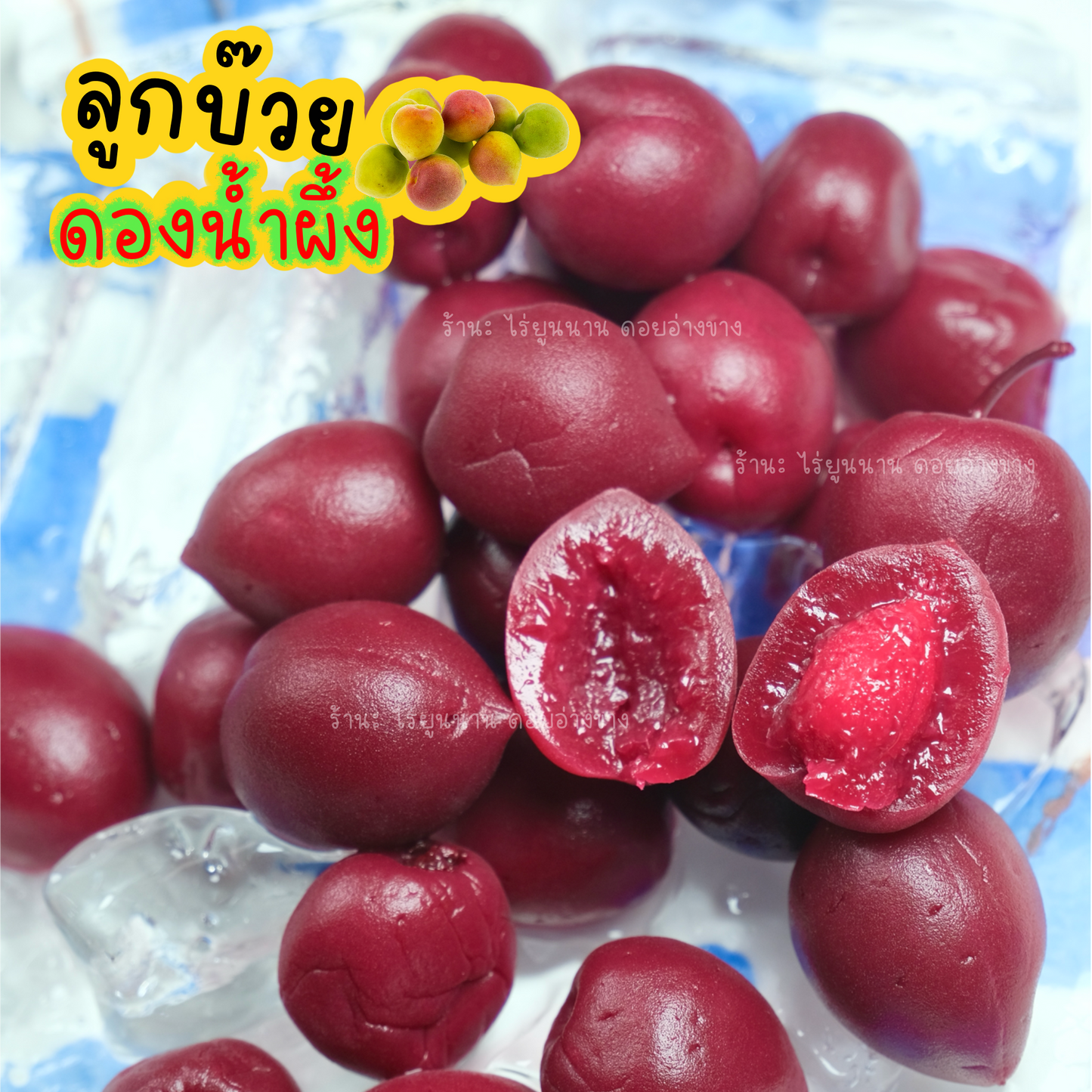 ลูกบ๊วยดองน้ำผึ้ง 1000 กรัม – Pickled Chinese Plums รสเปรี้ยวนำ หวานตาม ดองสดในไทยจากผลผลิตคุณภาพ