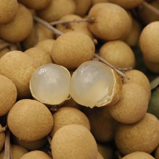 ลำไยผลสด พรีเมียม AAA | 1 KG เมล็ดเล็ก หวานฉ่ำ สดใหม่ ส่งตรงจากสวน