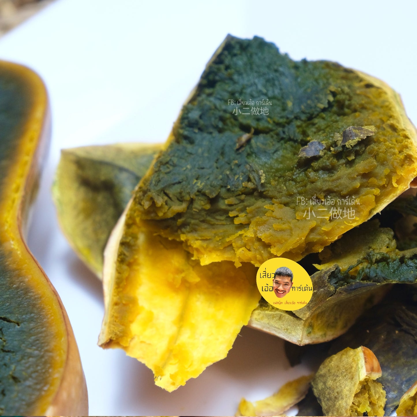 🌱 เมล็ดฟักทอง กรีน อโยเต้ (Guatemalan Green Flesh Ayote Squash) – ฟักทองเนื้อเขียวพันธุ์ต่างประเทศ ปลูกง่าย ให้ผลผลิตดี 100 เมล็ด ฟักทองเนื้อสีดำ สายพันธุ์แท้ 100%