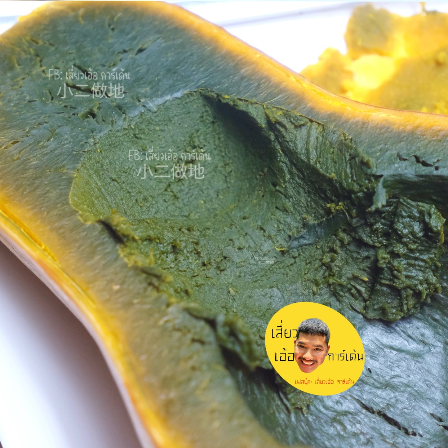 🌱 เมล็ดฟักทอง กรีน อโยเต้ (Guatemalan Green Flesh Ayote Squash) – ฟักทองเนื้อเขียวพันธุ์ต่างประเทศ ปลูกง่าย ให้ผลผลิตดี 100 เมล็ด ฟักทองเนื้อสีดำ สายพันธุ์แท้ 100%