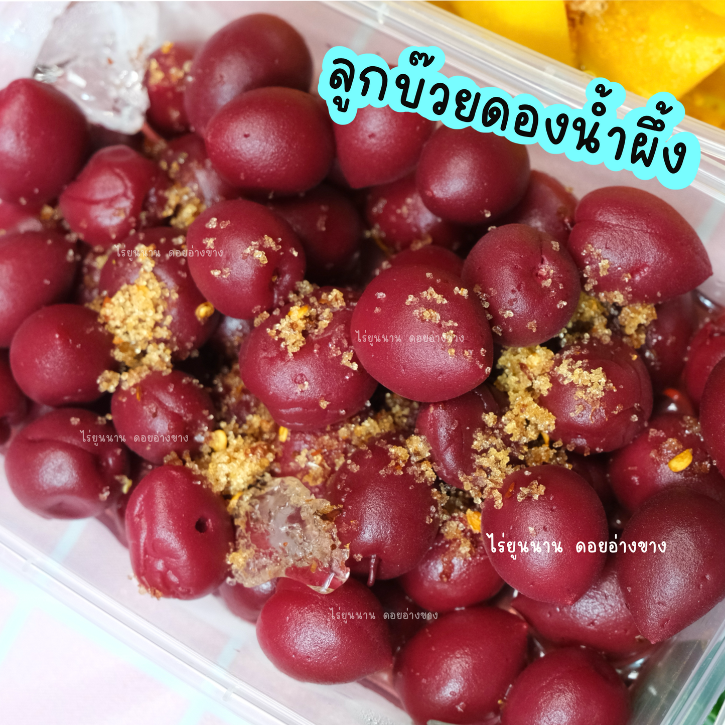 ลูกบ๊วยดองน้ำผึ้ง 1 กล่อง 500 กรัม – Pickled Chinese Plums แถมฟรี! พริกเกลือรสเด็ด รสเปรี้ยวนำ หวานตาม ดองสดในไทยจากผลผลิตคุณภาพ
