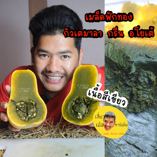 เมล็ดฟักทอง กรีน อโยเต้ Guatemalan Green Ayote Squash ฟักทองเนื้อสีดำ สายพันธุ์แท้ 100% 5 เมล็ด