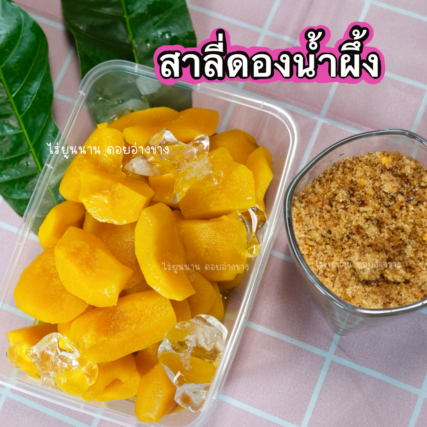 สาลี่ดองน้ำผึ้ง Pickled Pears 1 กล่อง 500 กรัม – แถมฟรี! พริกเกลือรสเด็ด เปรี้ยวนำ หวานตาม เนื้อกรอบ ไม่เละ ดองสดจากผลผลิตในไทย