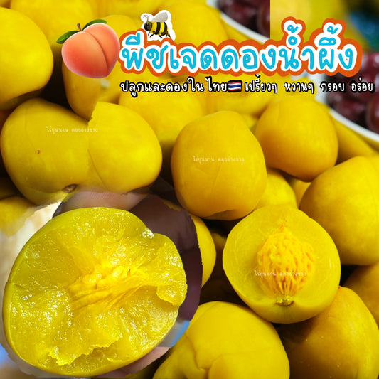 ลูกพีชเจดดองน้ำผึ้ง (Pickled Peaches) 1000 กรัม – ท้อดองน้ำผึ้ง รสเปรี้ยวหวานสดชื่น แถมฟรีพริกเกลือ!